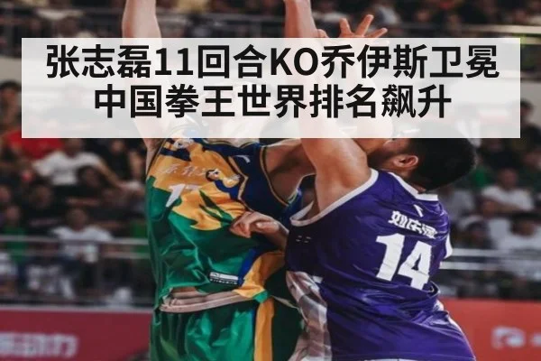 张志磊11回合KO乔伊斯卫冕 中国拳王世界排名飙升